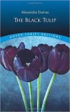 Picture of The Black Tulip